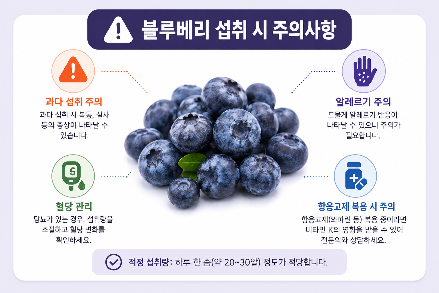 블루베리 부작용과 섭취 전 주의사항