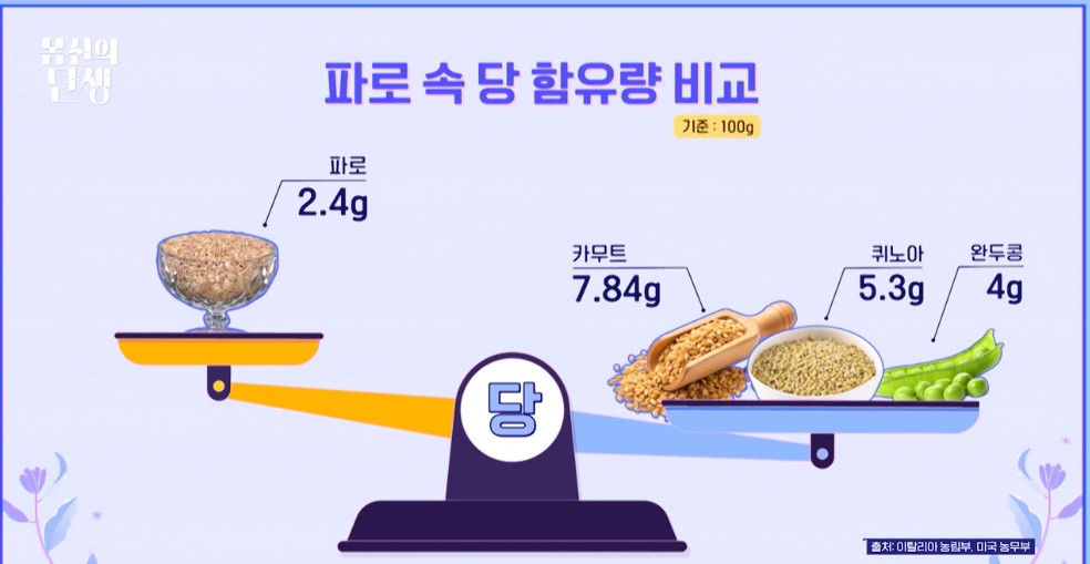 파로 설명