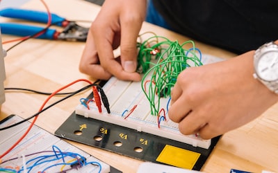 Dynamic Learning Journeys: Exploring the World with Curiosity