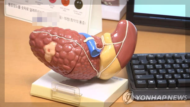 간헐적 절식