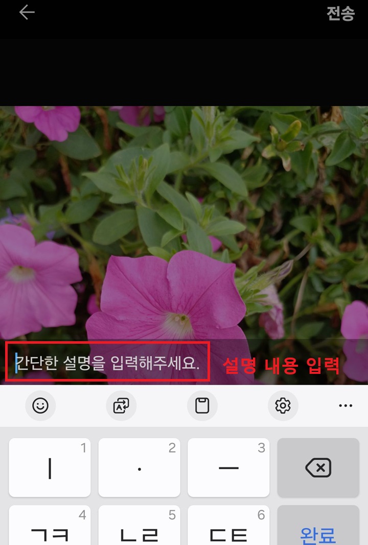 사진 설명 입력란 보임