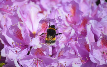 기초연금 수급자격 재산 바로 보기 16