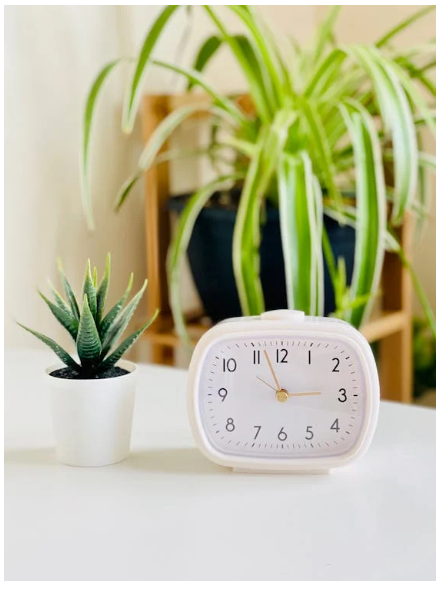 4050세대 미라클모닝