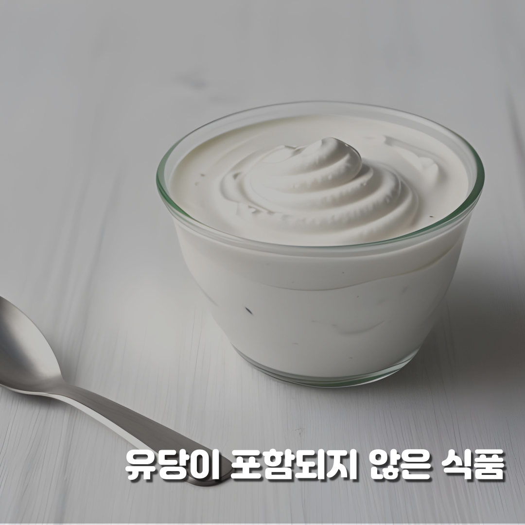 유당이 포함되지 않은 식품