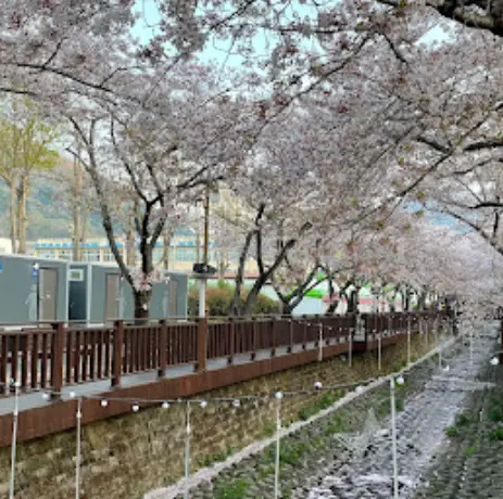 진해-여좌천-로망스다리