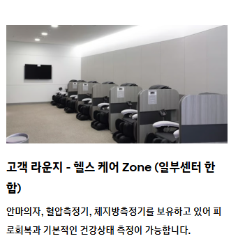 현대 블루핸즈 이용 장점