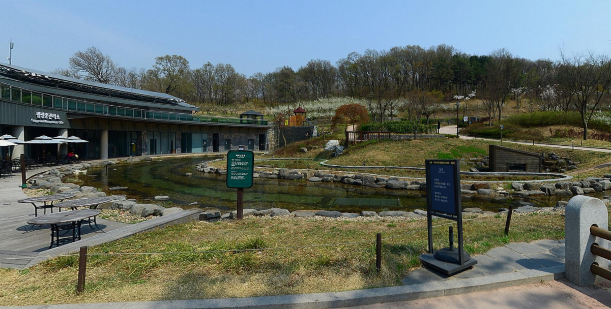 중랑캠핑 숲