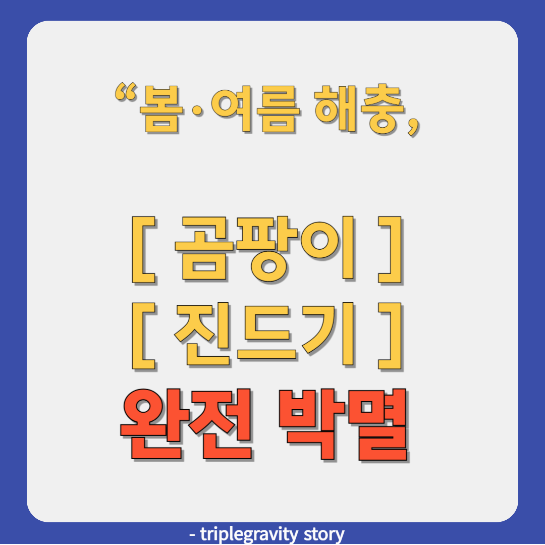 곰팡이 진드기 퇴치법