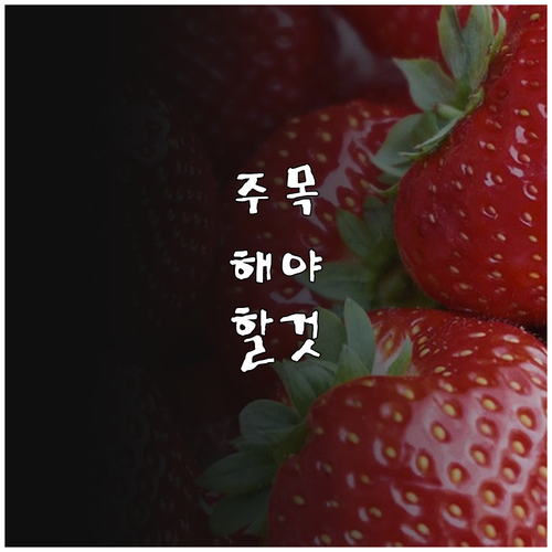 경제적 부담 끝! 시흥시 2025 아..