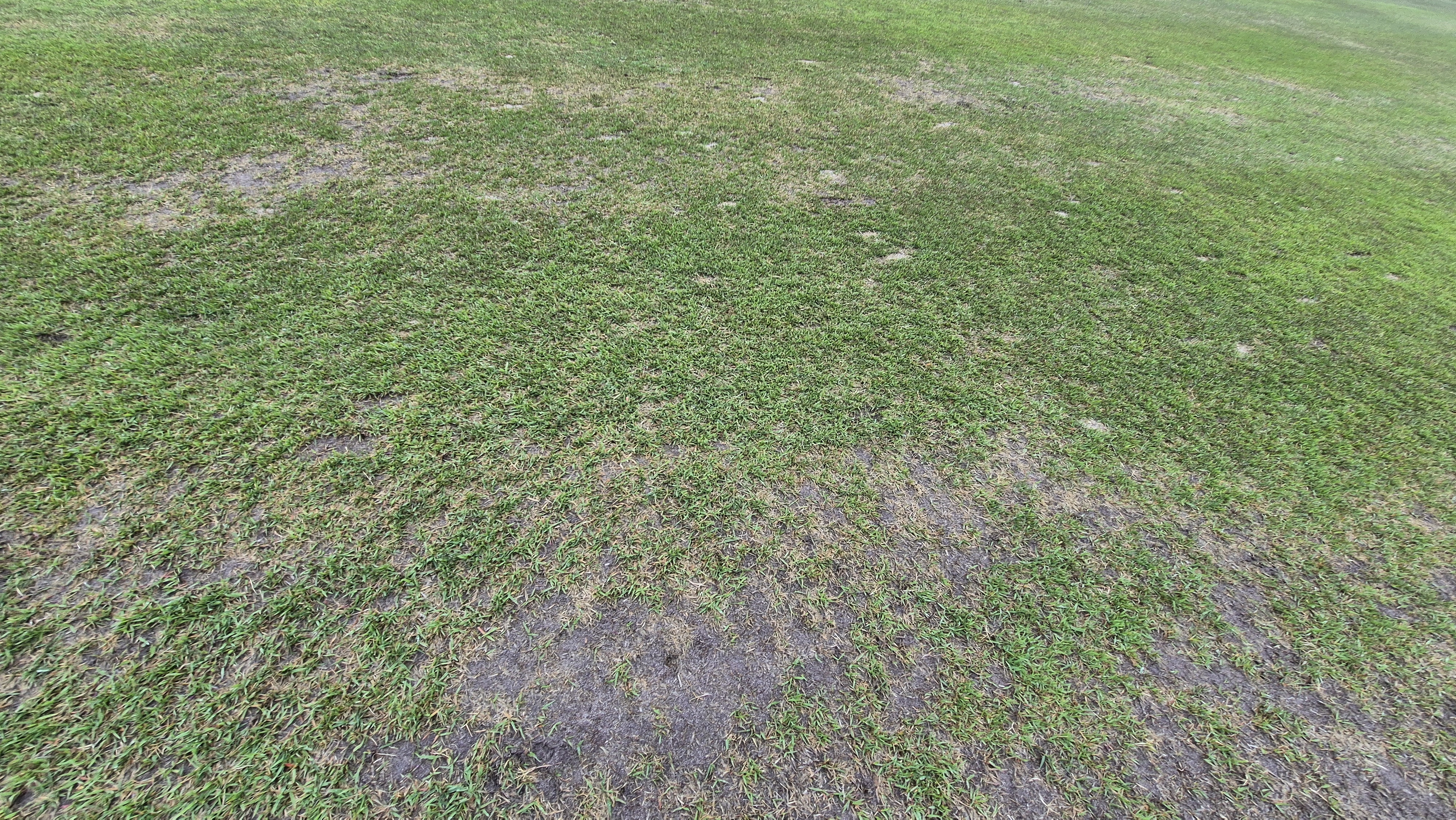 엘리시안 강촌cc 라운드 후기