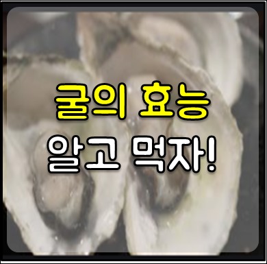굴의 효능-1