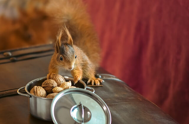 2024년 한부모가족 자격조건 신청방법 지원금액