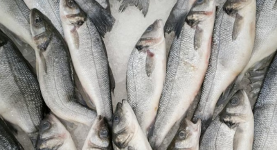 명태 이름 종류