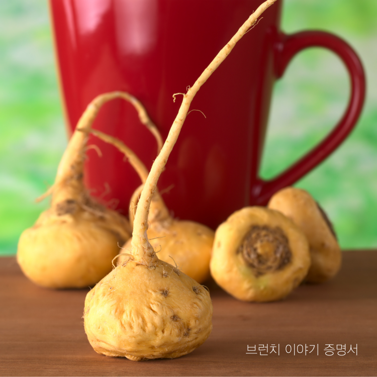마카