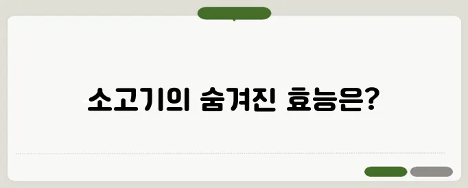 소고기의 효능, 철분이 풍부해 빈혈 예방에 효과적일까?