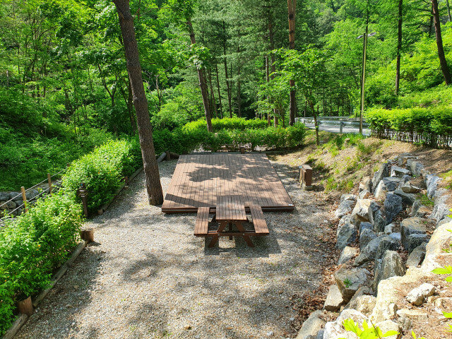 ์ธ์ ํ์ถ ์์ฐํด์๋ฆผ ์บ ํ์ฅ ์ฃผ๋ณ ๋ง์ง ์นดํ ๋งํธ ์์ฅ ํน์ฐ๋ฌผ ์์ธ ๊ฐ์์ง ๋๋ฐ ์ ๋ณด