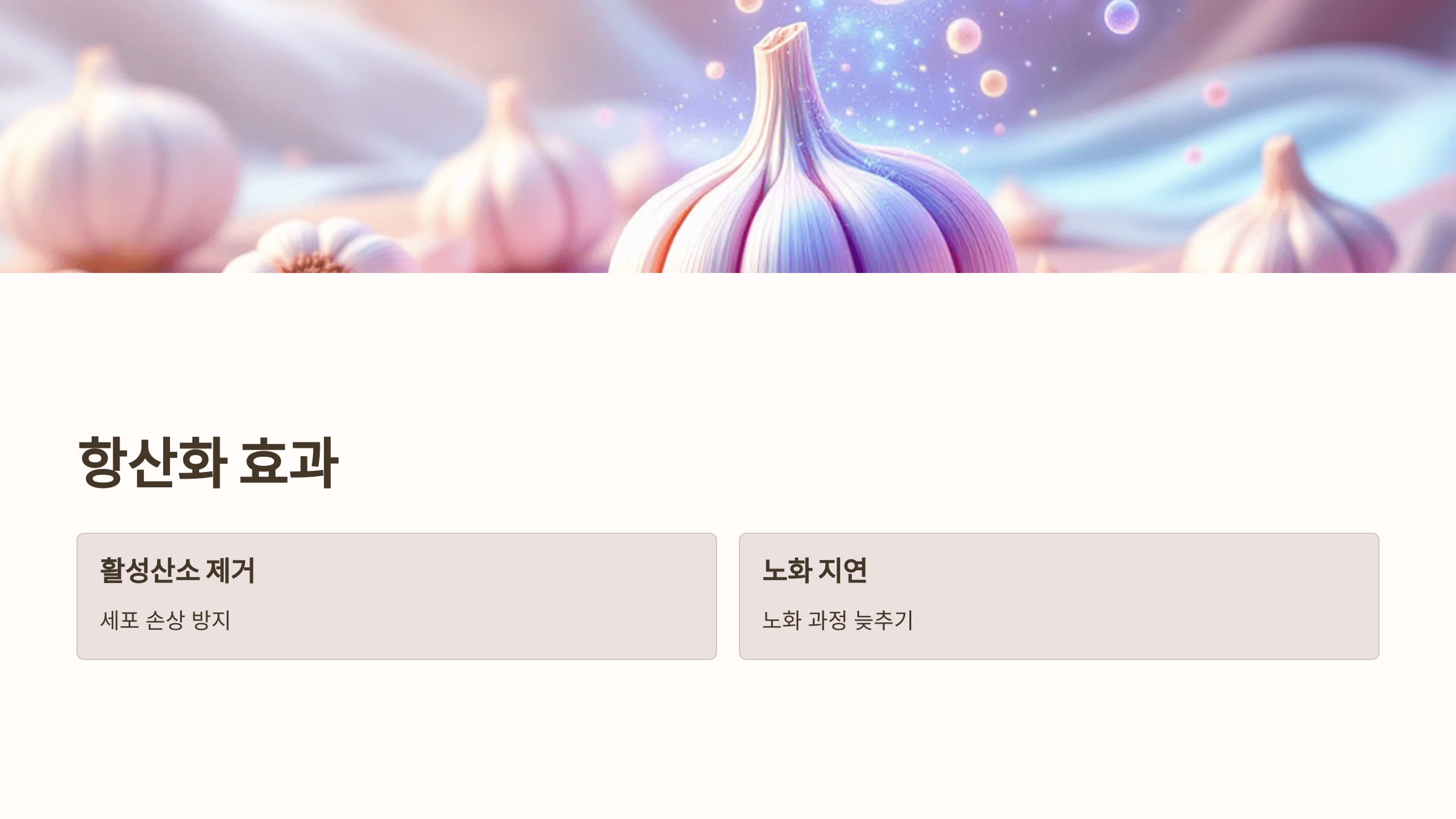 마늘 사진입니다.