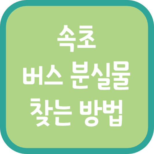 속초 버스 분실물 찾는 방법