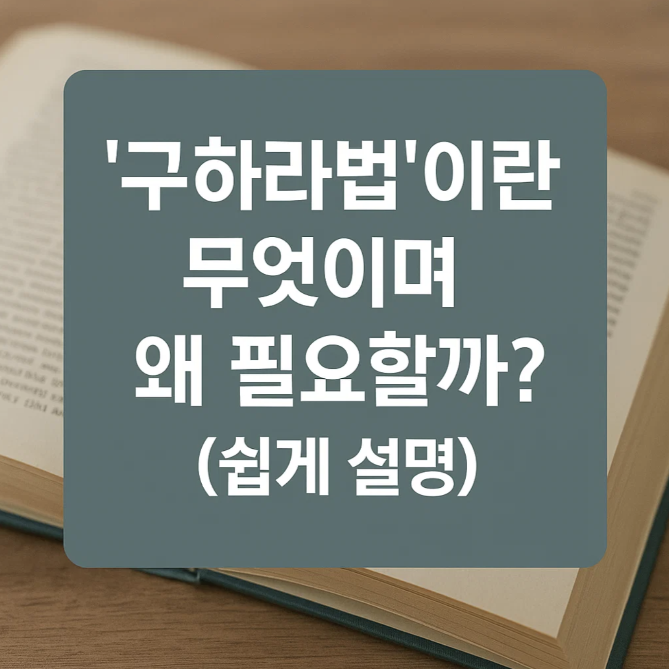 '구하라법'이란 무엇이며 왜 필요할까? (쉽게 설명)