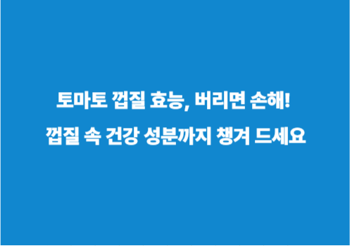 토마토 껍질 효능, 버리면 손해! 껍질 속 건강 성분까지 챙겨 드세요