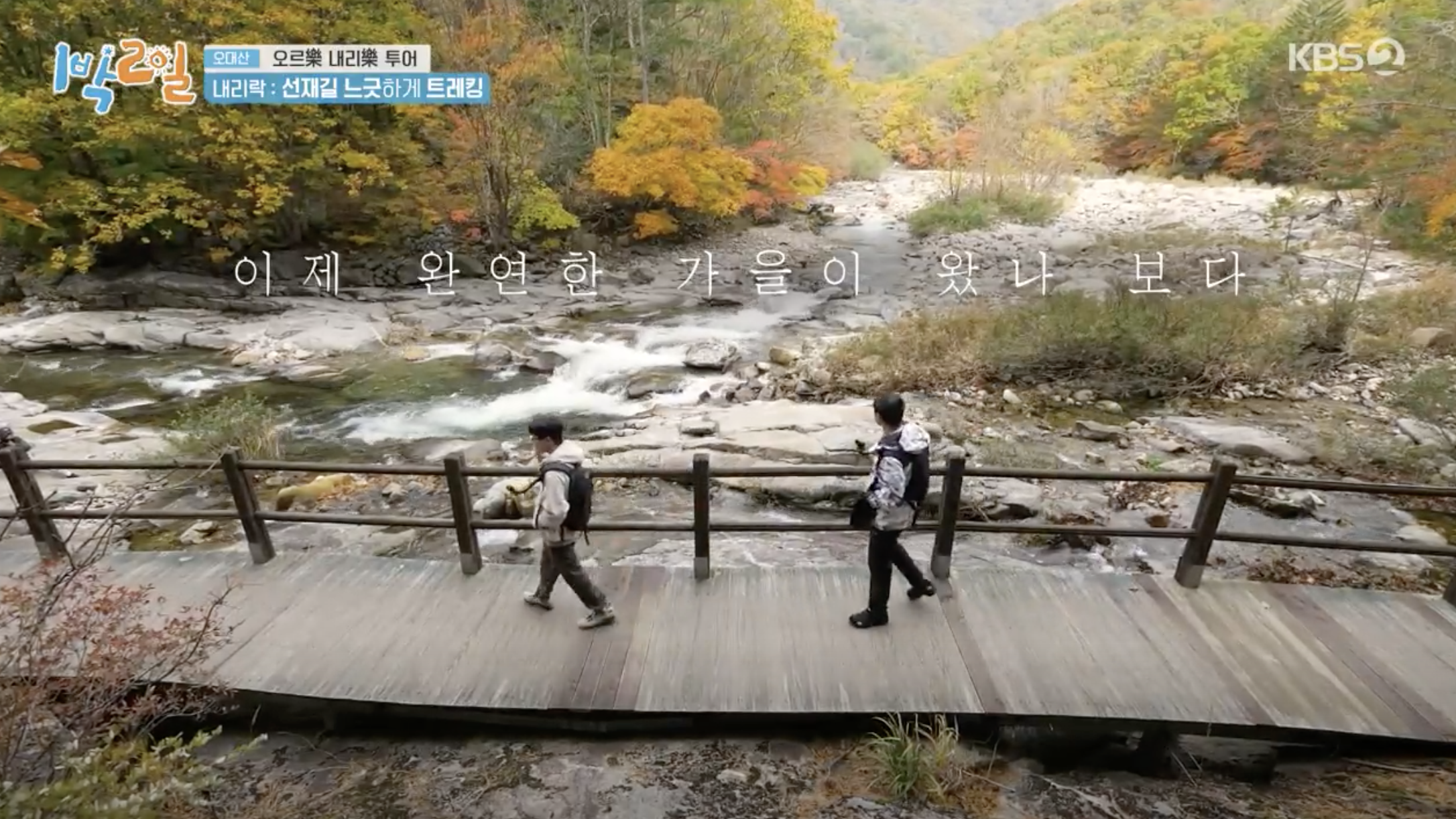 오대산 선재길 가을