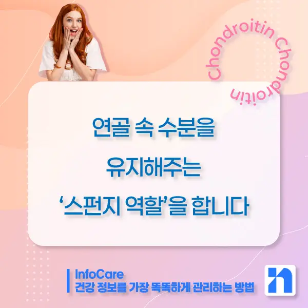 콘드로이친 효능, 복용방법