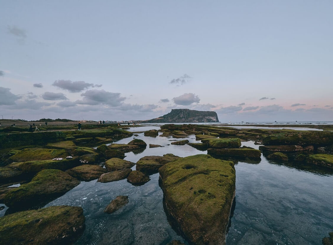 가족과 함께하는 제주 올레길 1코스 맛집 숙박 여행 팁👨‍👩‍👧‍👦