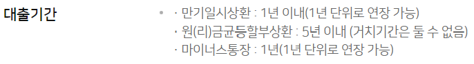 금융인 대출