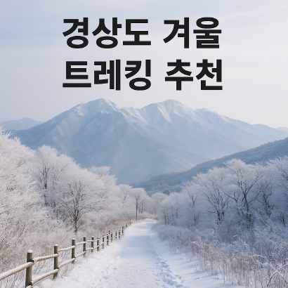 경상도 겨울 트레킹 추천 BEST 5 : 고요하고 깊은 남부의 겨울 숲길