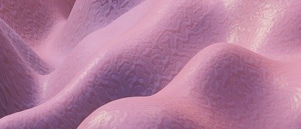 2025 노인 장기요양등급 신청