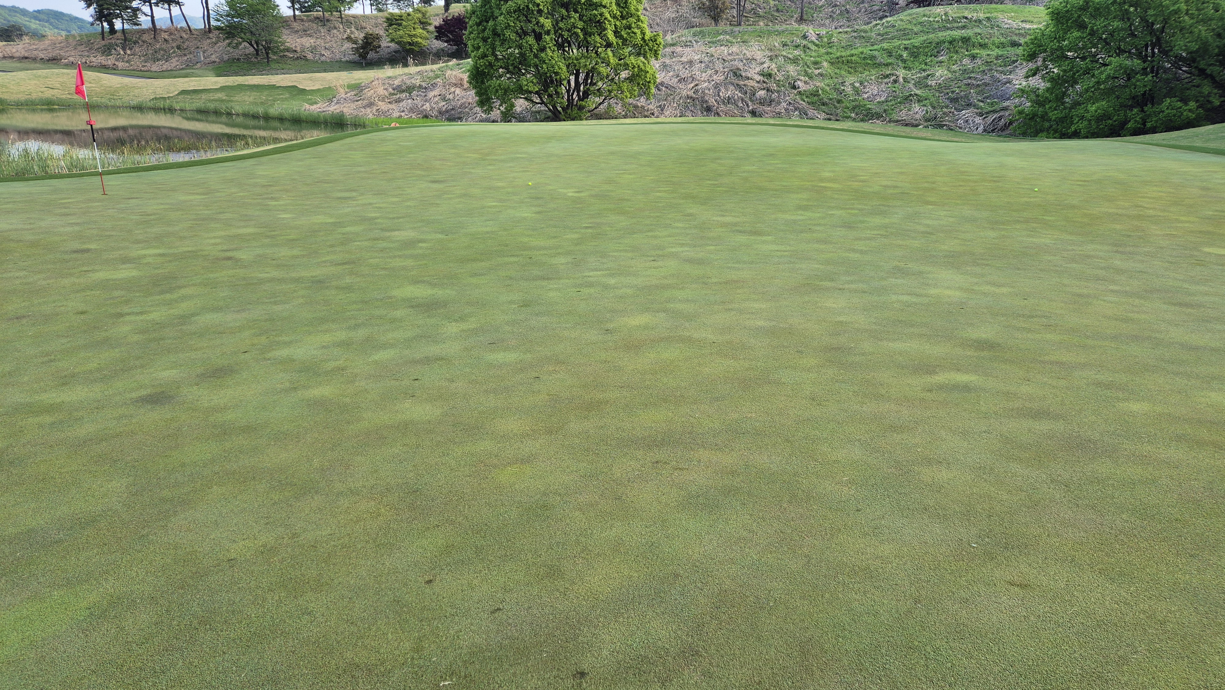 마에스트로cc 라운드 후기