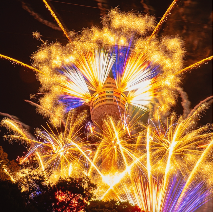 이월드 블라썸 피크닉과 관련된 사진