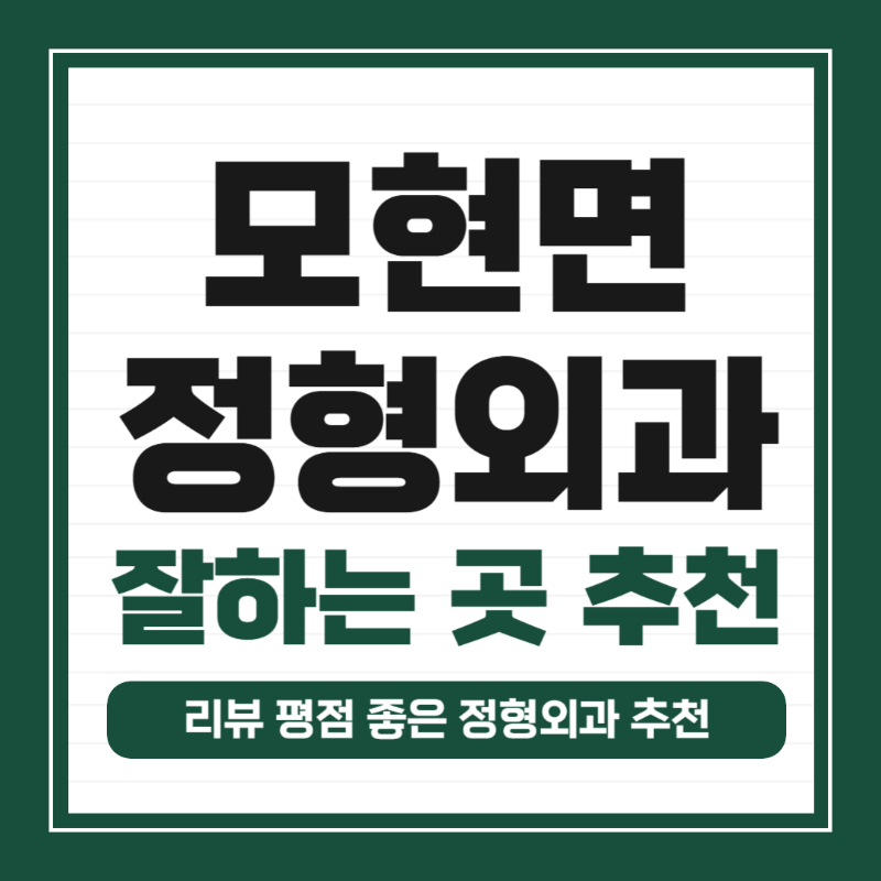 용인시 처인구 모현면 정형외과 유명하고 잘하는 곳 추천 TOP 5