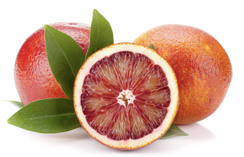 모로오렌지 이미지