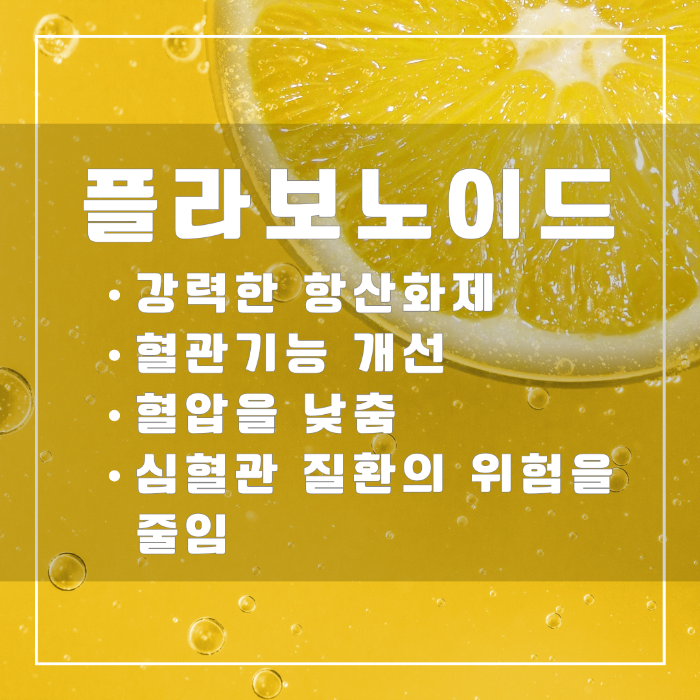 플라보노이드 효능