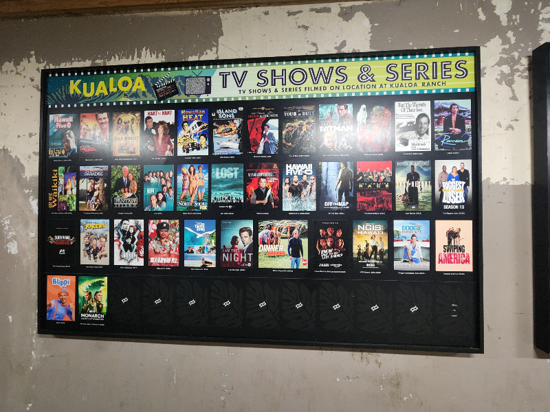 하와이 쿠알로아 랜치 익스피리언스 패키지 무비사이트 투어