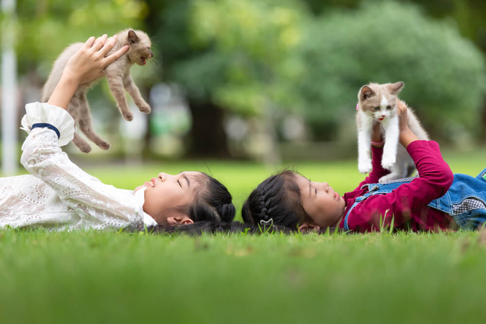 길냥이와 사람의 거리 1m, 그 특별한 의미 🐱|길고양이 사회화의 시작