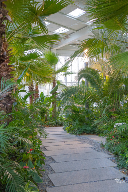 파주 문지리 535 카페 포토존