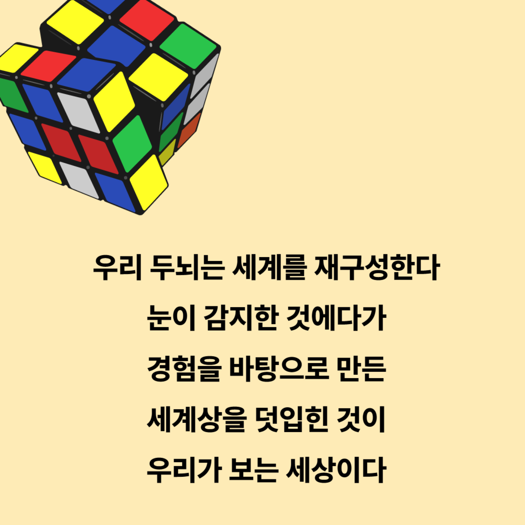 우리의 두뇌는 세계를 재구성한다