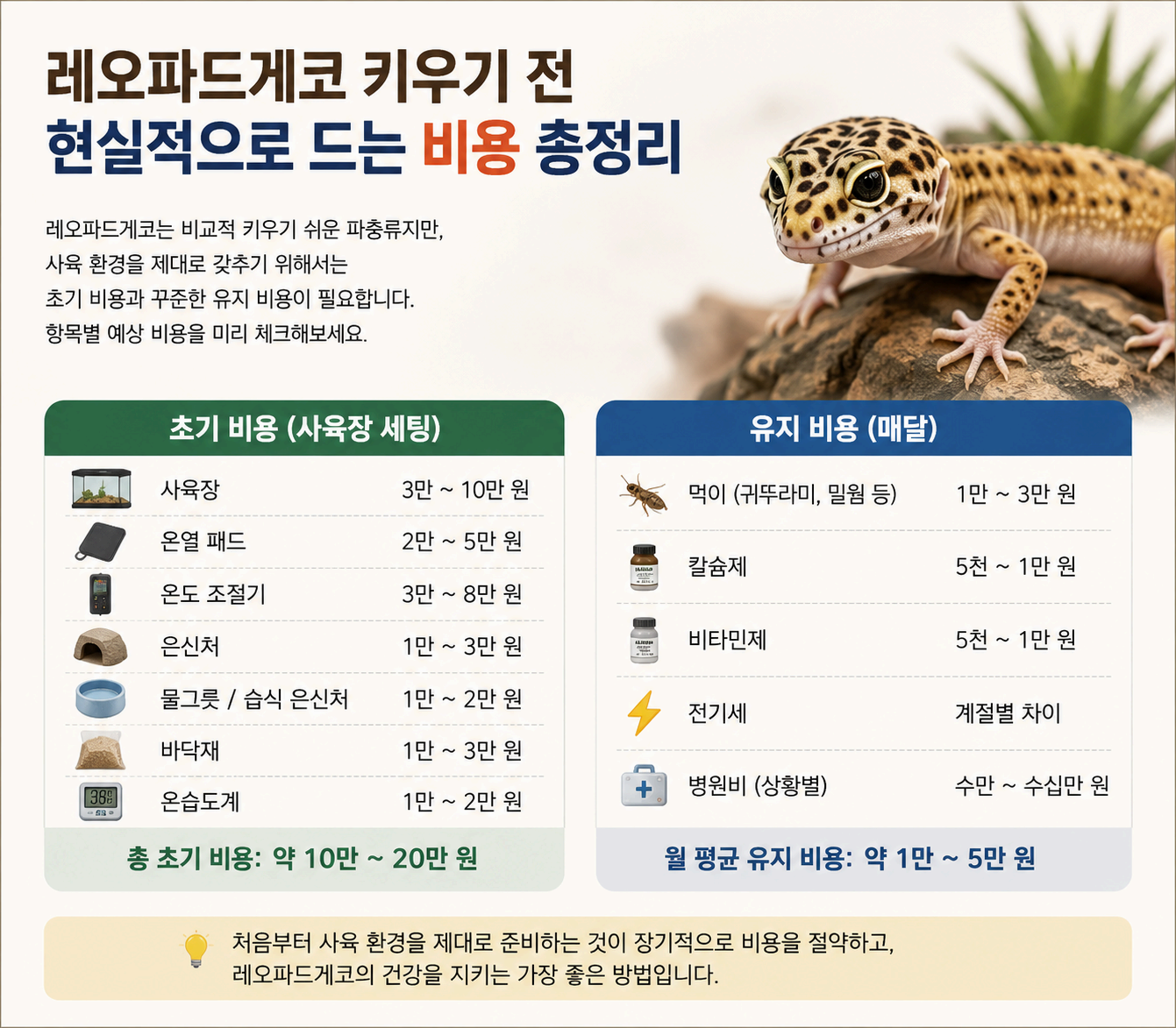 레오파드게코 키우기 전 현실적으로 드는 비용 총정리