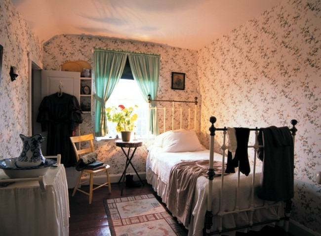 빨강머리앤 관련사진