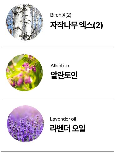 라셀턴-성분-특징