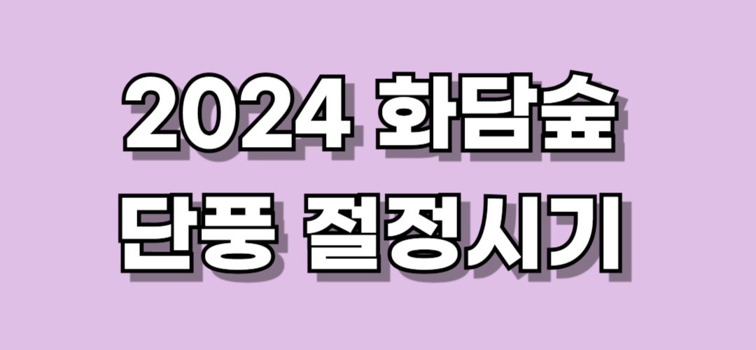 2024 화담숲 단풍시기