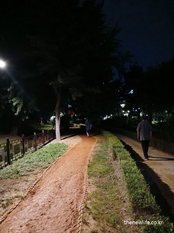 야간에 황토길 맨발 걷기를 하며 자세 교정과 하체 근력 강화 효과를 체험하는 사람들