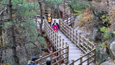 6-2코스 주변 볼거리