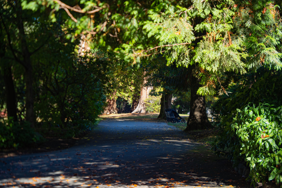 밴쿠버 스탠리 공원 산책로