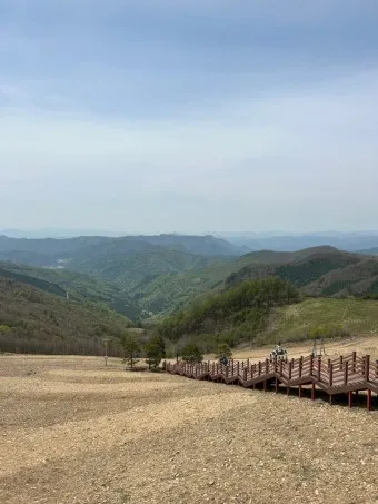 평창 가볼만한곳 베스트10 현지인 추천 필수코스_18