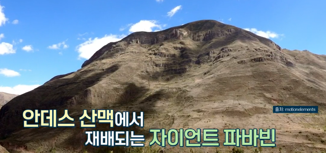 파바빈이란