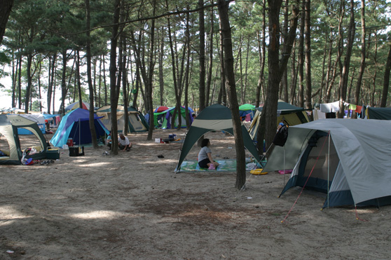 2025 춘장대 해수욕장 여름문화 개장식 &amp; 서면가요제 가이드