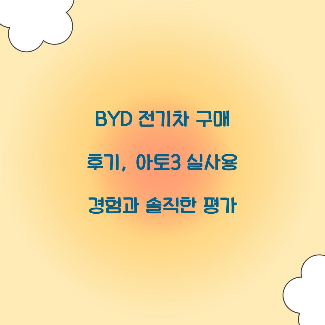 BYD 전기차 구매 후기